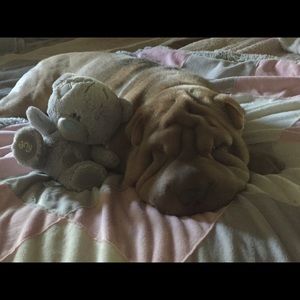 Meet your Posher, Teresa